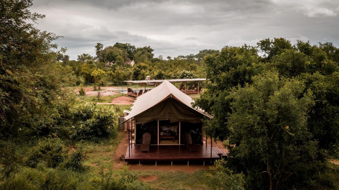 Honeyguide Tented Safari Camp - Khoka Moya Manyeleti Game Reserve Exterior photo