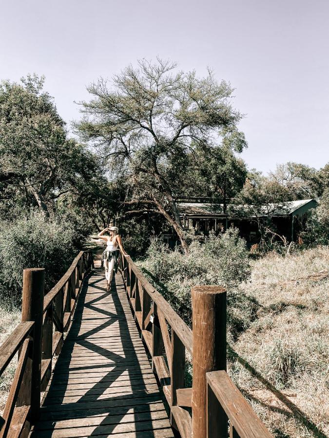 Honeyguide Tented Safari Camp - Khoka Moya Manyeleti Game Reserve Exterior photo