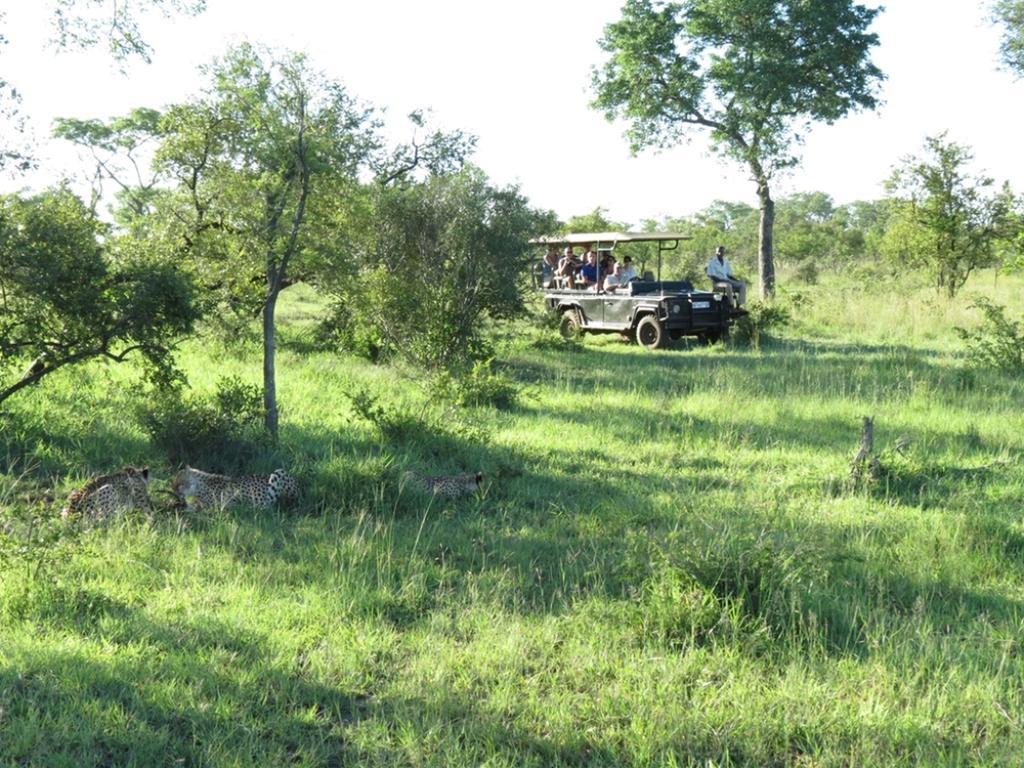 Honeyguide Tented Safari Camp - Khoka Moya Manyeleti Game Reserve Exterior photo
