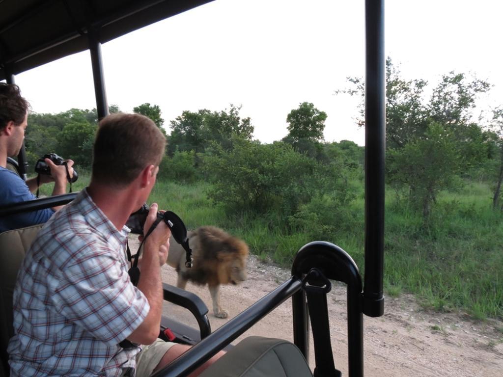 Honeyguide Tented Safari Camp - Khoka Moya Manyeleti Game Reserve Exterior photo