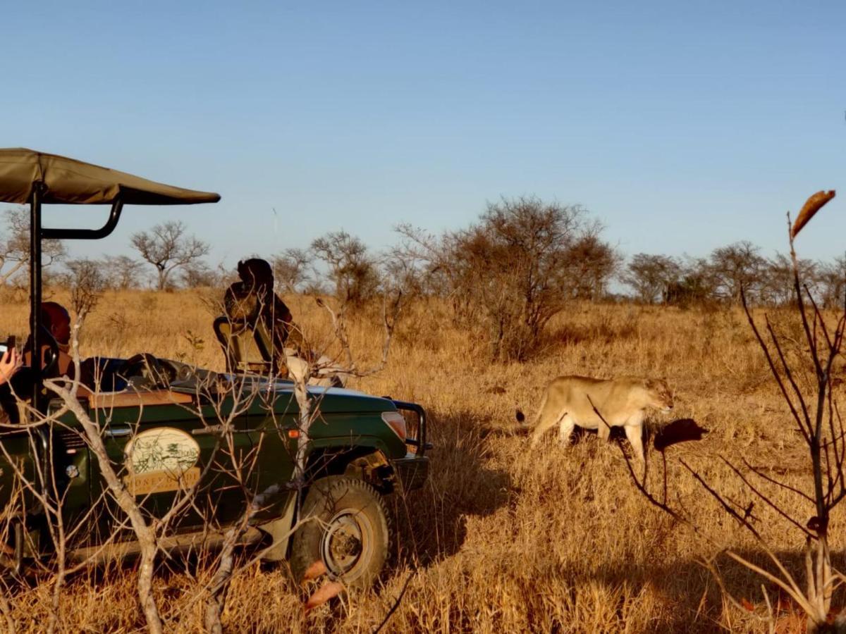 Honeyguide Tented Safari Camp - Khoka Moya Manyeleti Game Reserve Exterior photo